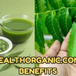 Benefits Of Neem Tree And Its Medicinal Properties - Benefits Of Neem Tree In Hindi