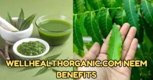 Benefits Of Neem Tree And Its Medicinal Properties - Benefits Of Neem Tree In Hindi