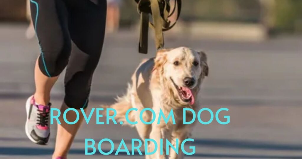 Premium Dog Boarding Services